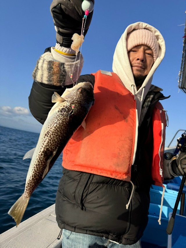 フグ(ショウサイフグ)