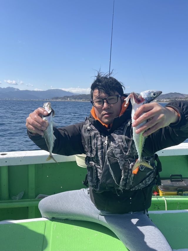 アジ(マアジ)・サバ(ゴマサバ)