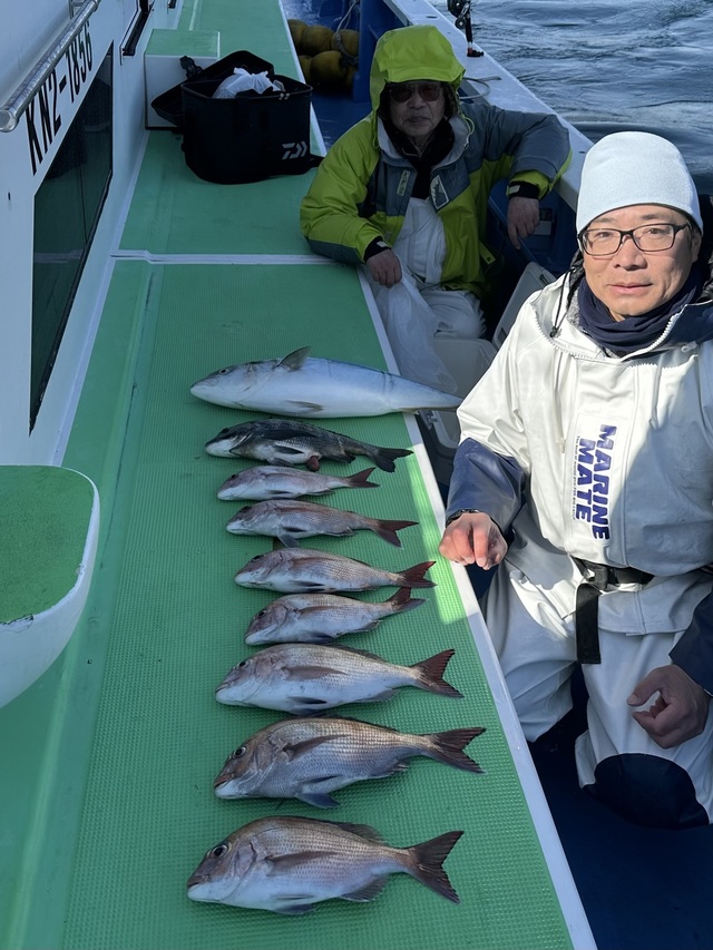 マダイ・クロダイ・ワラサ(ブリ)