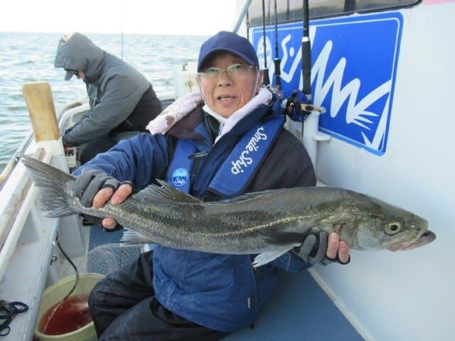 シーバス(スズキ)