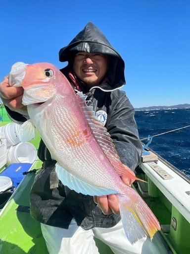 アマダイ(アカアマダイ)