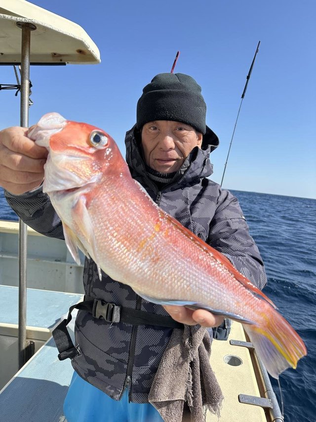 アマダイ(アカアマダイ)