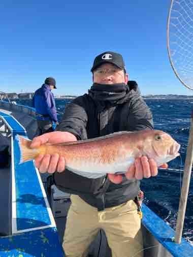 アマダイ(アカアマダイ)