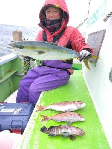 マダイ・マハタ・ハマチ(ブリ)