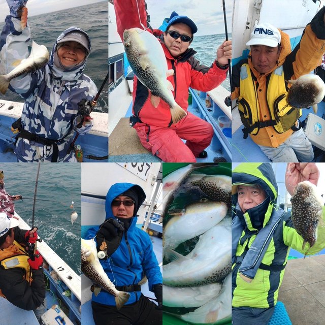 ショウサイフグ