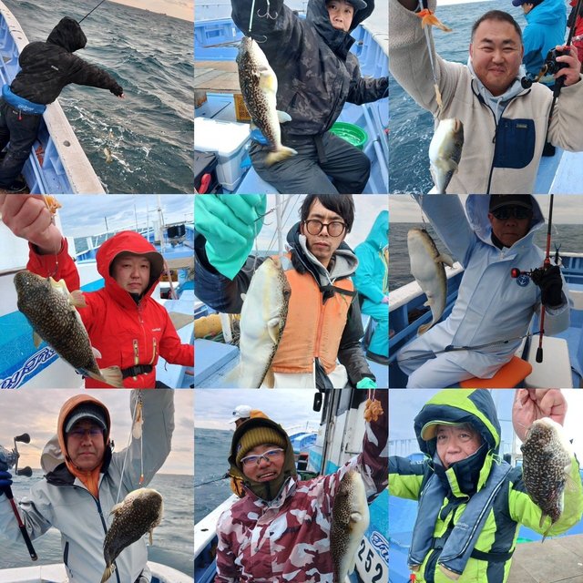 ショウサイフグ