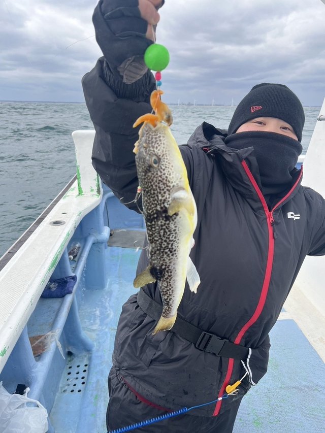 ショウサイフグ