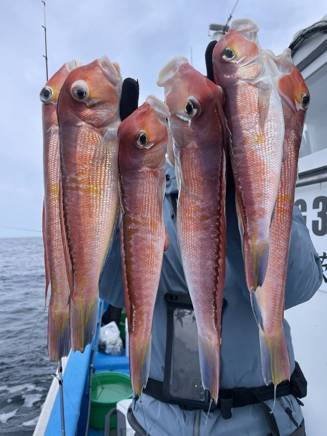 アマダイ(アカアマダイ)