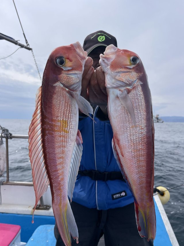 アマダイ(アカアマダイ)