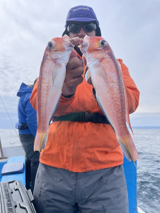 アマダイ(アカアマダイ)