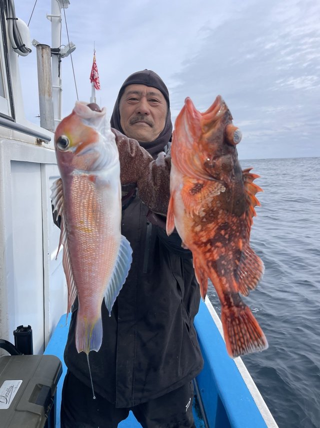 アマダイ(アカアマダイ)・カサゴ