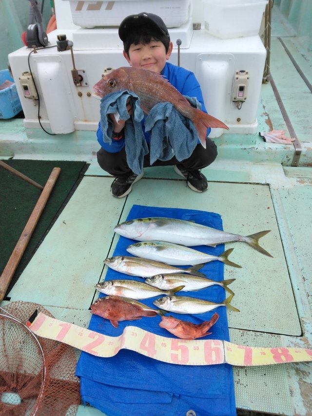 マダイ・マアジ・ツバス(ブリ)・メジロ(ブリ)