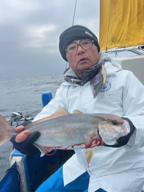 ショゴ(カンパチ)