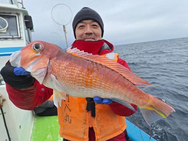 アマダイ(アカアマダイ)