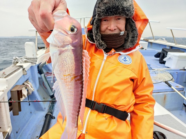 アマダイ(アカアマダイ)