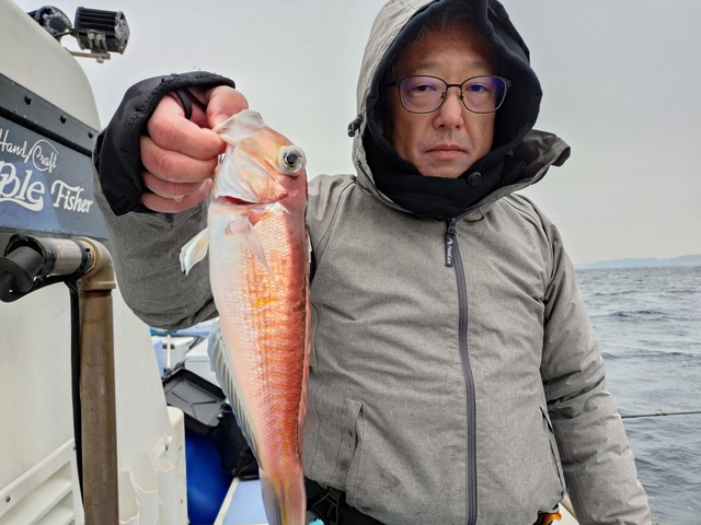 アマダイ(アカアマダイ)