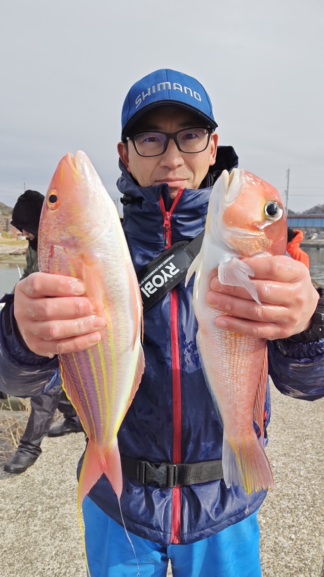 アマダイ(アカアマダイ)