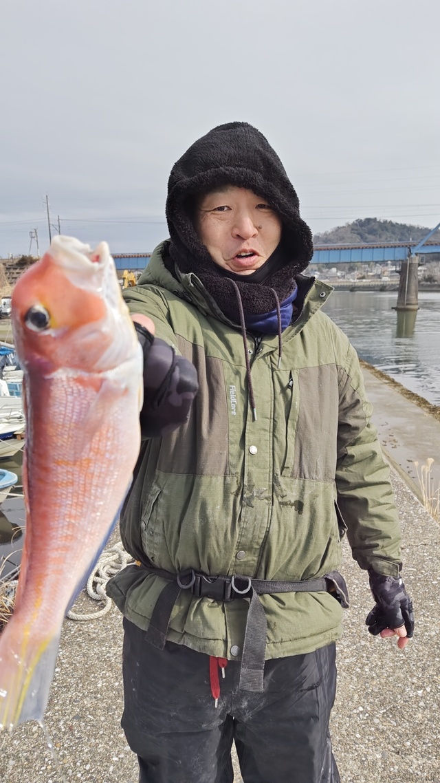 アマダイ(アカアマダイ)