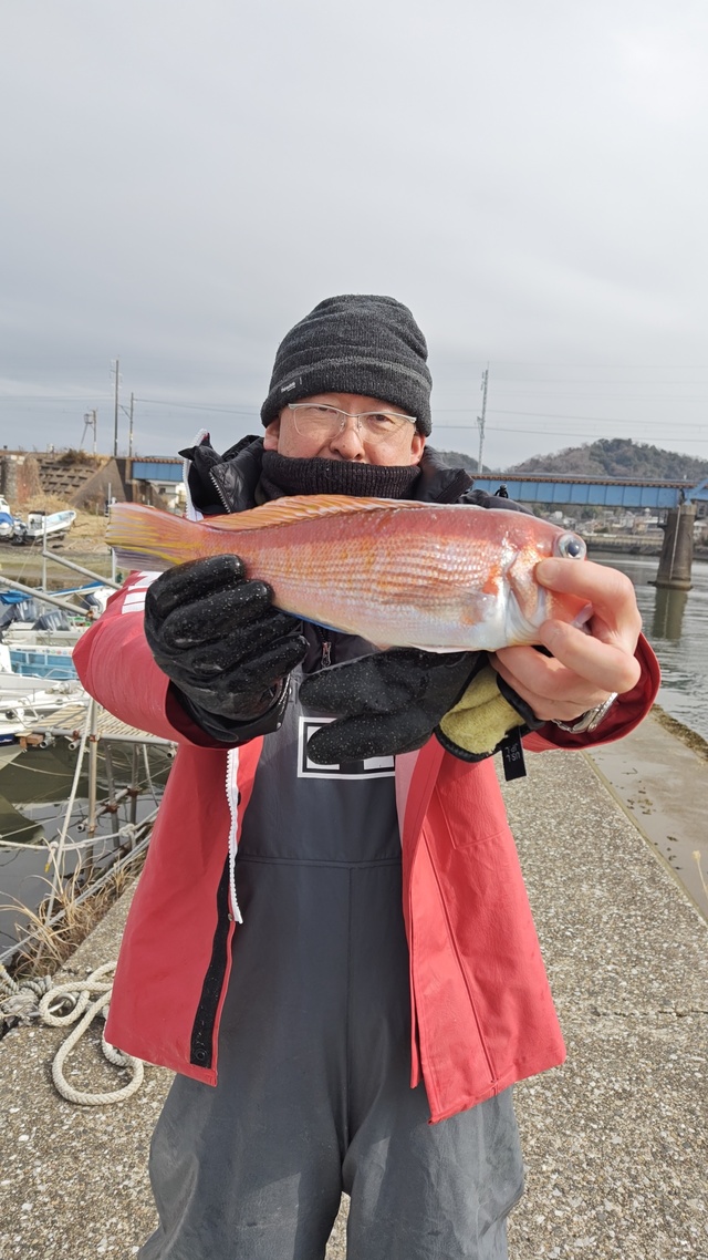 アマダイ(アカアマダイ)