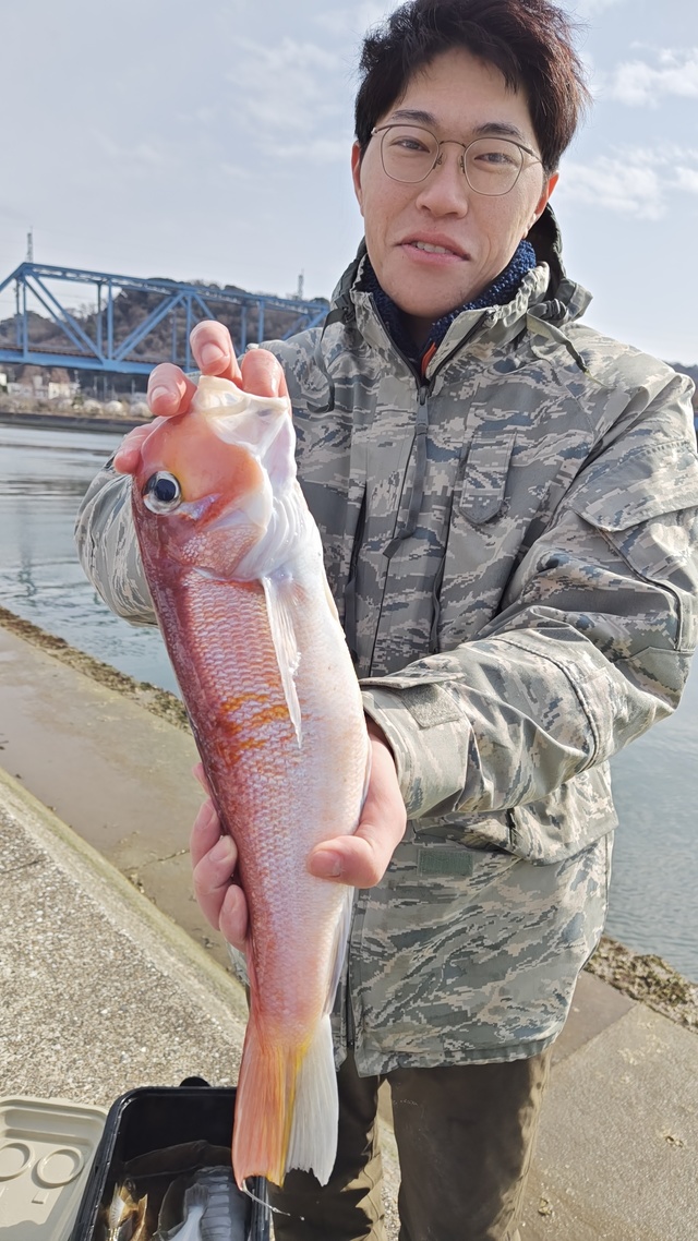 アマダイ(アカアマダイ)