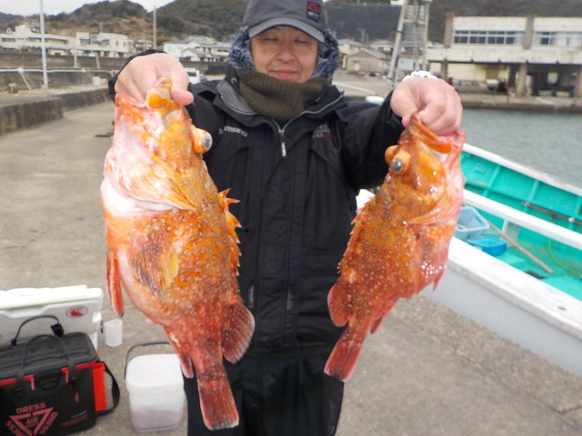 カンコ(ウッカリカサゴ)