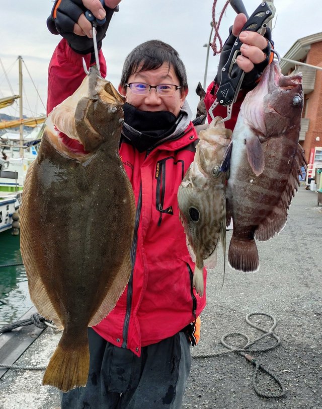 マハタ・ヒラメ