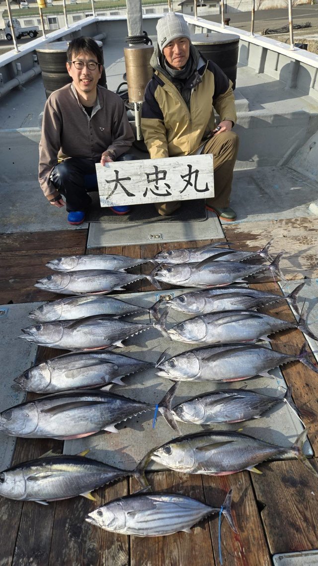 トンボ(ビンナガ)・キメジ(キハダ)・カツオ