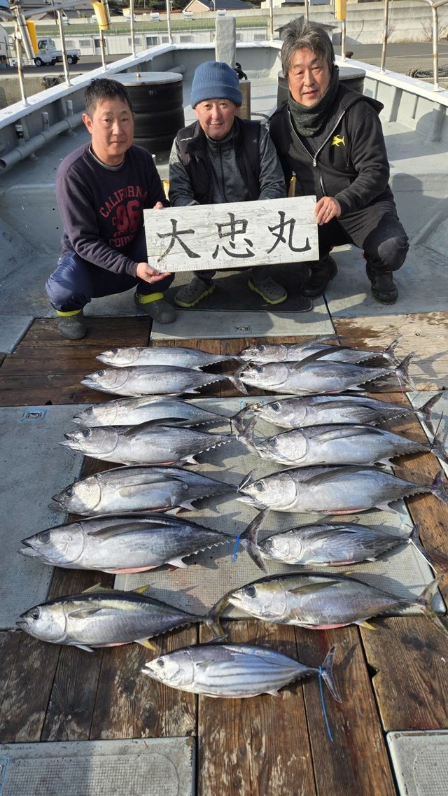 トンボ(ビンナガ)・キメジ(キハダ)・カツオ
