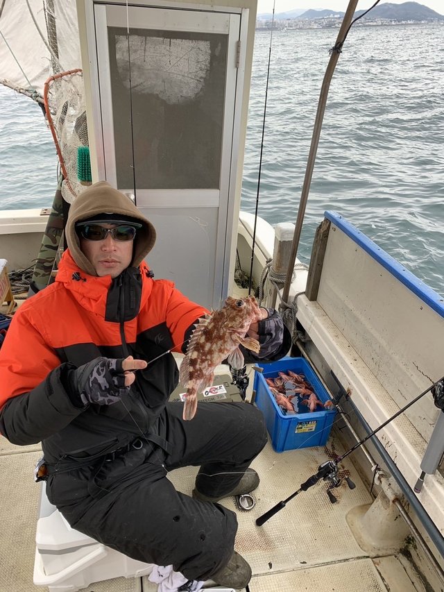 ガシラ(カサゴ)