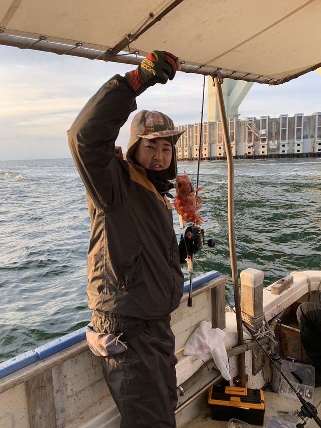 ガシラ(カサゴ)