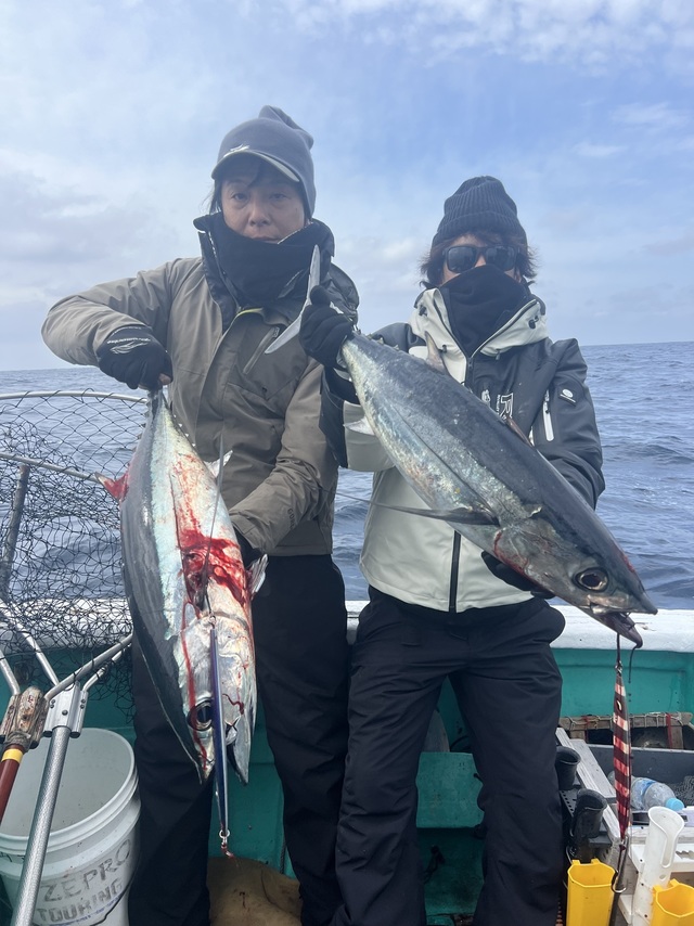 ビンチョウマグロ(ビンナガ)