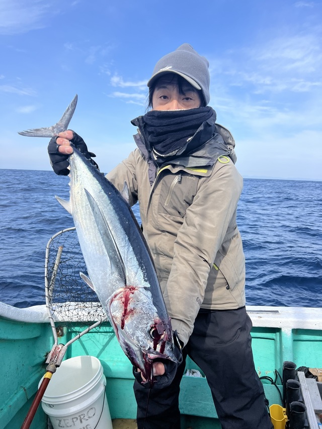 ビンチョウマグロ(ビンナガ)