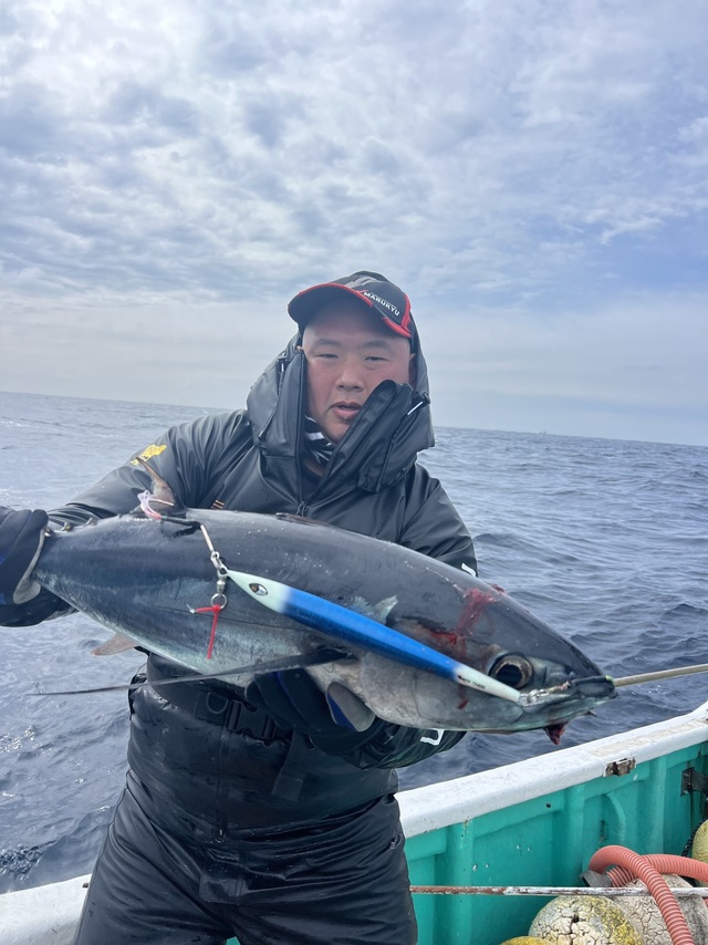 ビンチョウマグロ(ビンナガ)