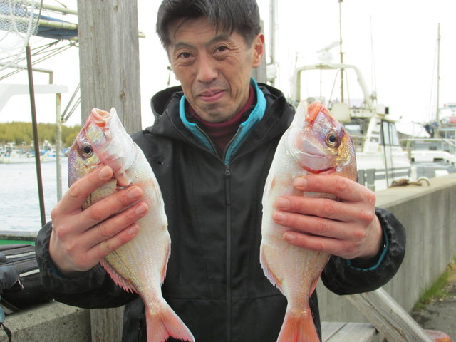 ハナダイ(チダイ)