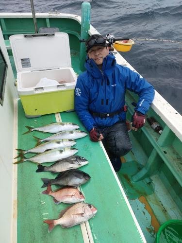 マダイ・クロダイ・メジナ・イナダ(ブリ)