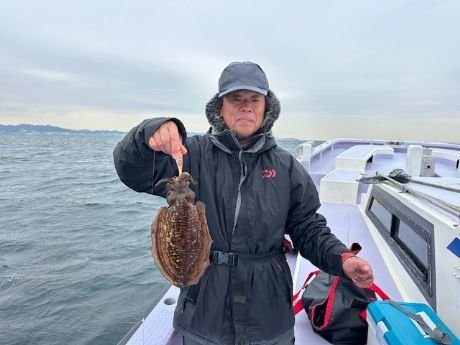 スミイカ(コウイカ)