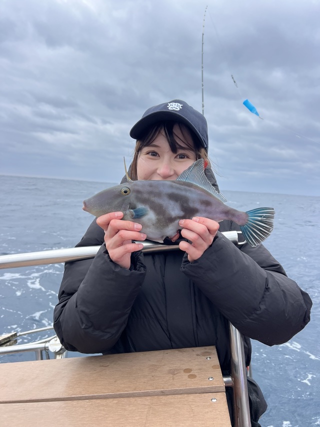 ウマズラハギ(ウマヅラハギ)