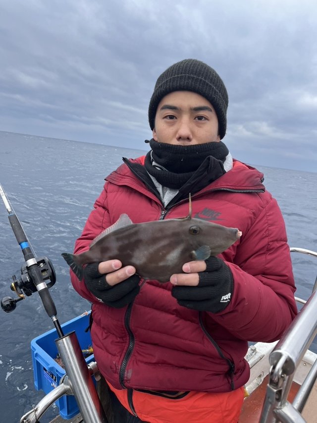 ウマズラハギ(ウマヅラハギ)