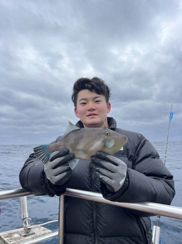 ウマズラハギ(ウマヅラハギ)