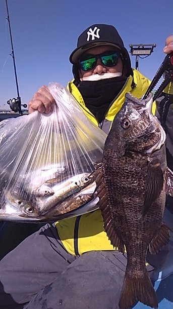 クロダイ・アジ(マアジ)