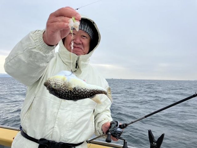 ショウサイフグ