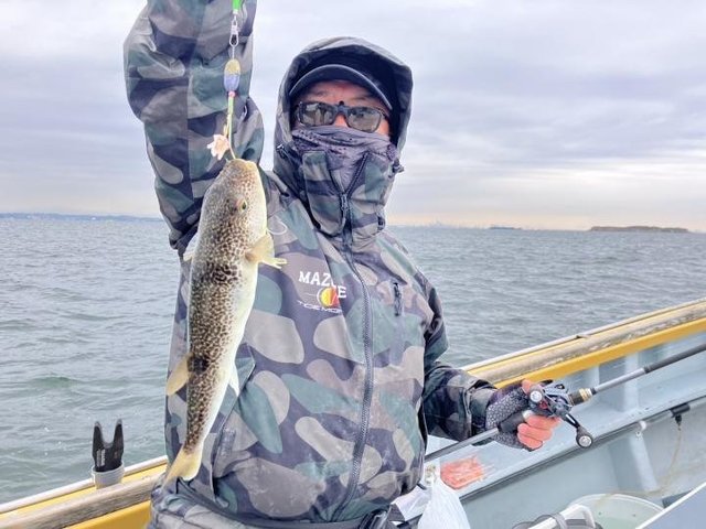 ショウサイフグ