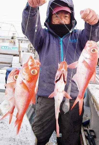 キンメ(キンメダイ)