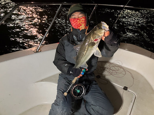 シーバス(スズキ)