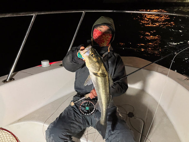 シーバス(スズキ)