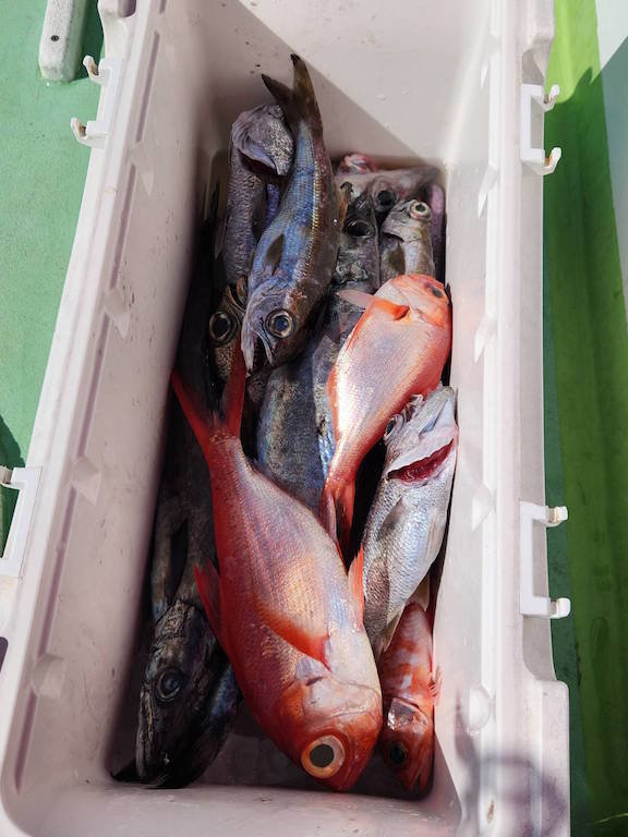 クロムツ・スミヤキ(クロシビカマス)・キンメ(キンメダイ)・シロムツ(オオメハタ)