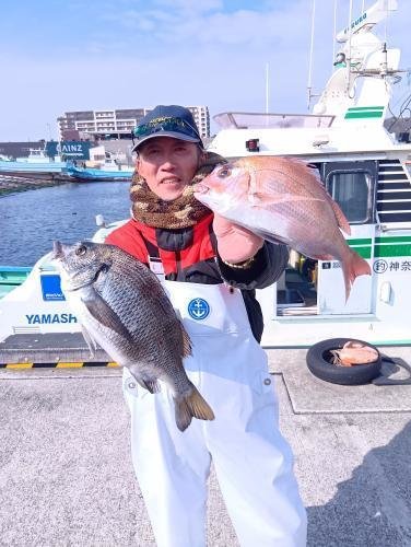 マダイ・クロダイ