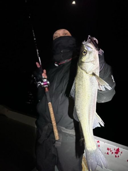 シーバス(スズキ)