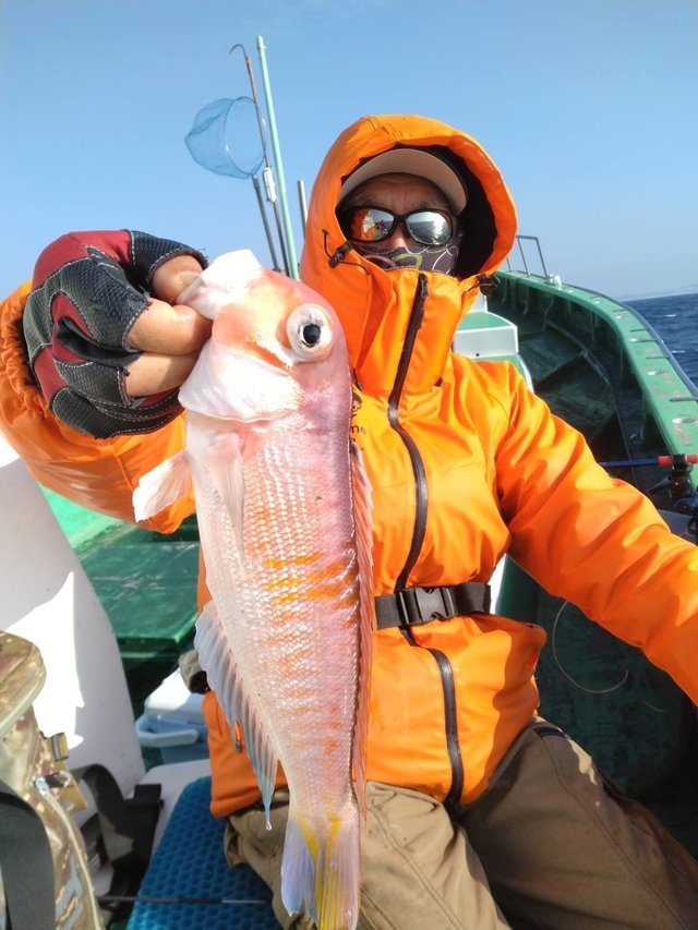 アマダイ(アカアマダイ)