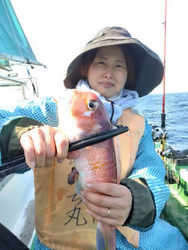 アマダイ(アカアマダイ)